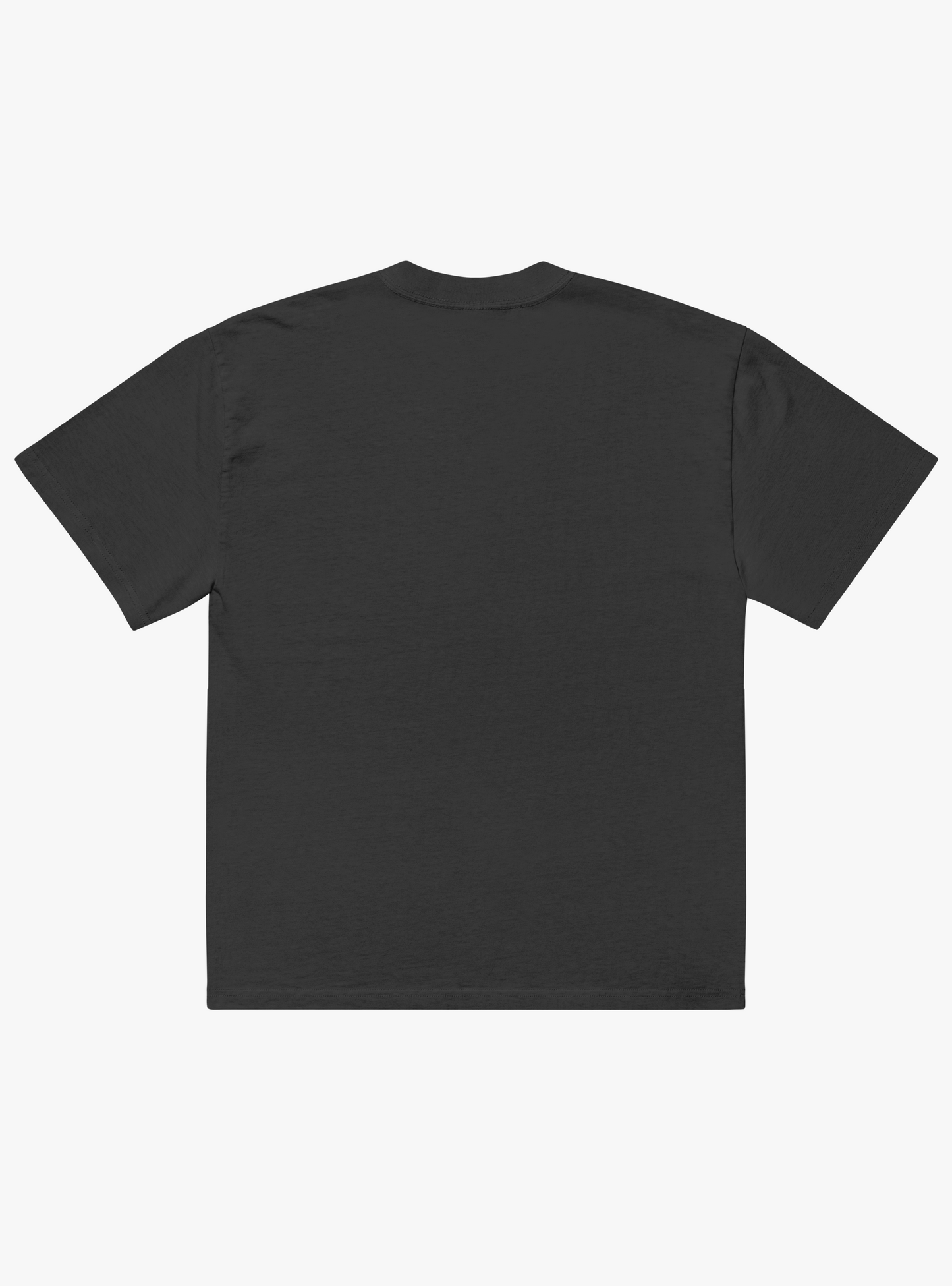 LITHUANIA T-SHIRT